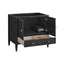 Black cabinet with open doors on a white background