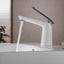 Blossom Single Handle Lavatory Faucet (Chrome/White)